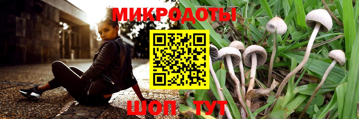 Псилоцибиновые грибы GOLDEN TEACHER Дубна